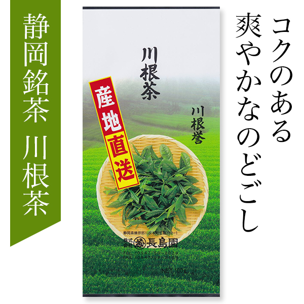 Relapo リラポ Home